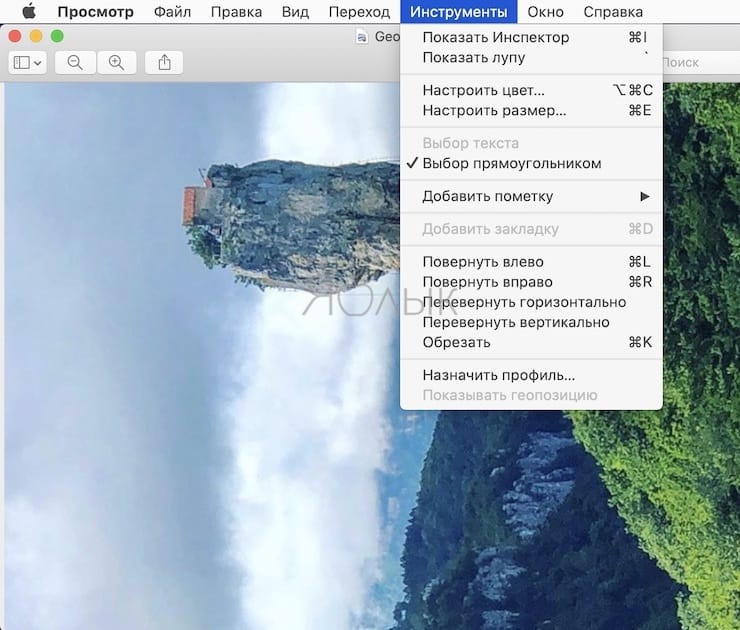 How to rotate, crop, resize and format a photo in macOS GAMINGDEPUTY