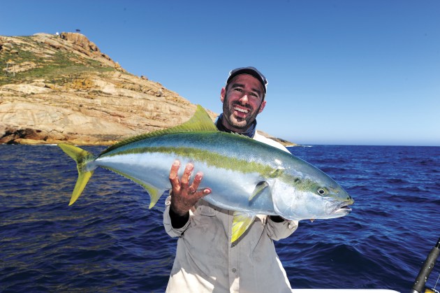 How to catch kingfish on livebait Fishing World