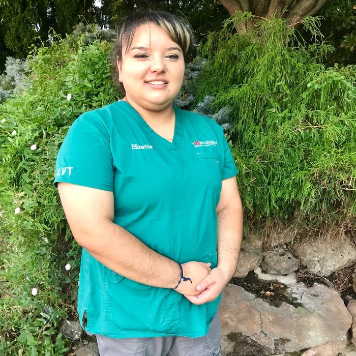 Meet the Team at Yakima Valley Veterinary Clinic
