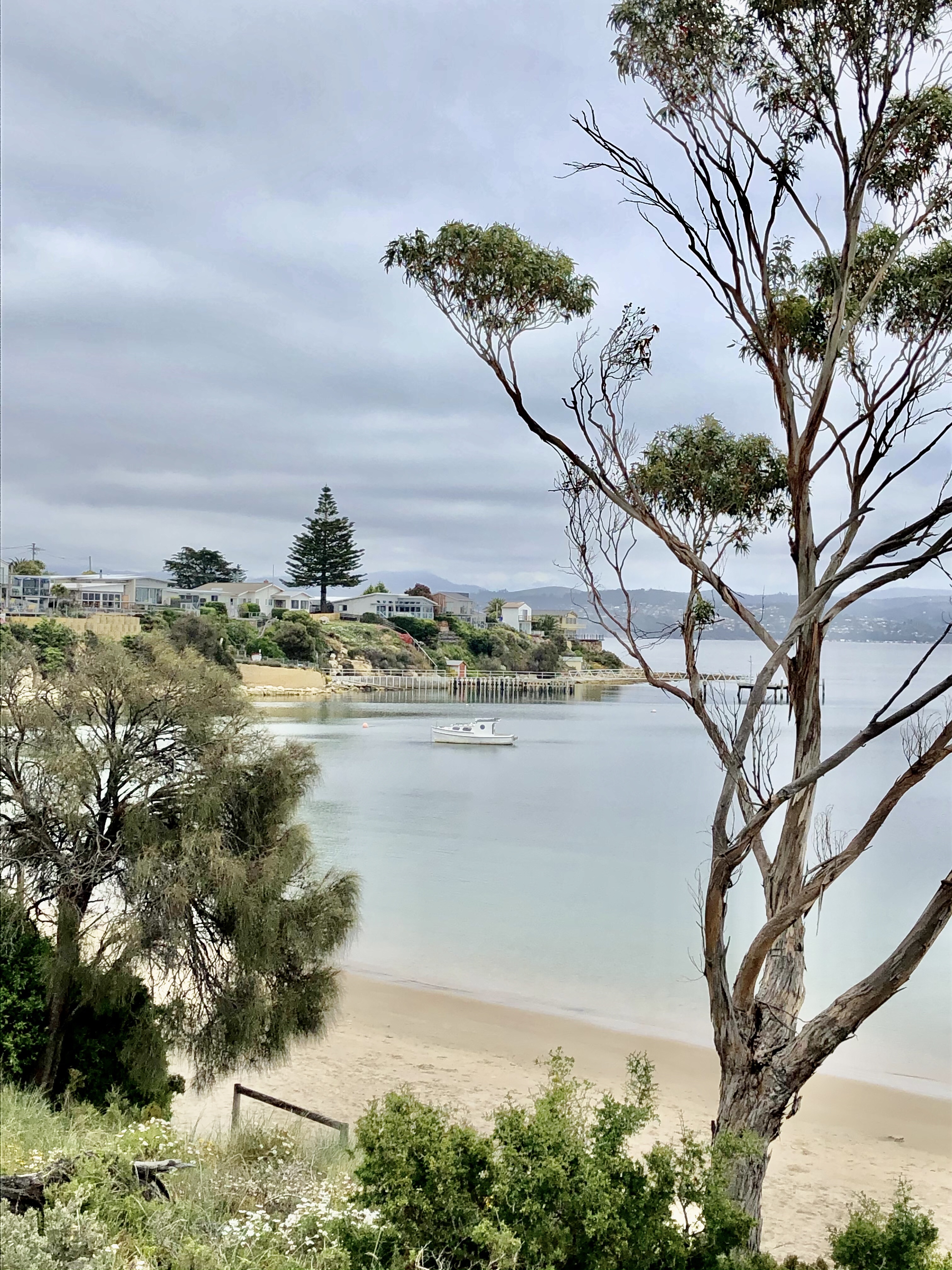 South Arm and Opossum Bay yakkablog