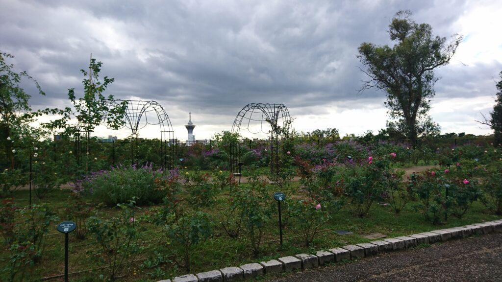 Flower Expo Memorial Park Tsurumi Ryokuchi Learn Japanese