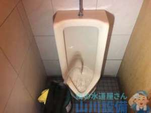 男女トイレ共に奥の方で詰まってる? 小便器と土間排水の詰まり 動画あり