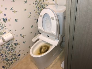 奈良市大宮町でトイレが溢れそうになったら山川設備にお任せ下さい。