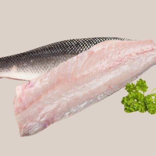 Frozen Seabass Fillet Turkey/ 5KG CTN قاروص فيليه Yamama Shop