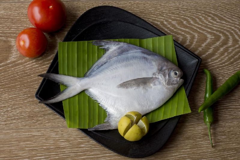 Frozen White Pomfret 400/500 GMS /5KG CTN زبيدي Yamama Shop