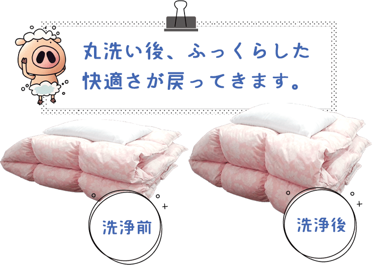 布団 丸洗い ビフォーアフター