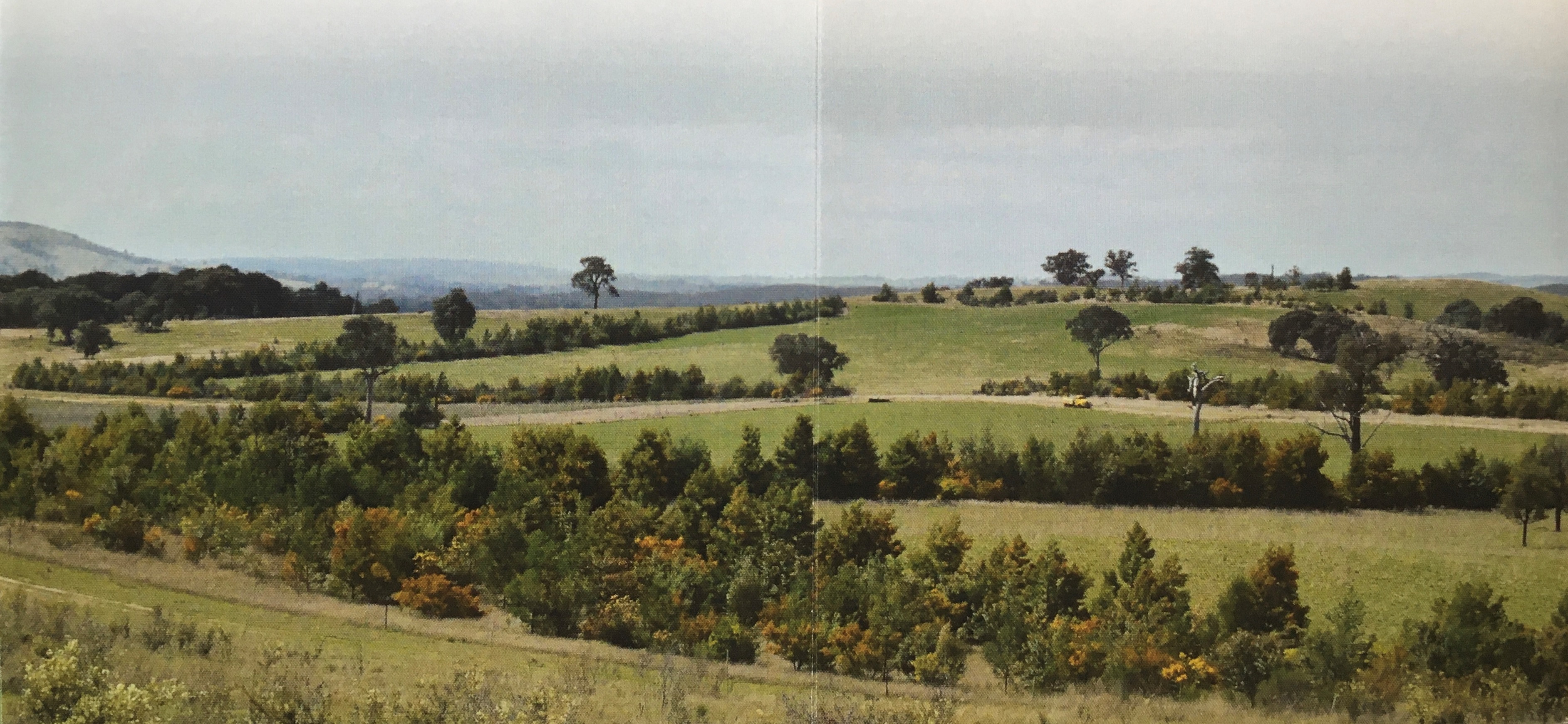 Yass Area Network of Landcare Groups Yass Habitat Linkages