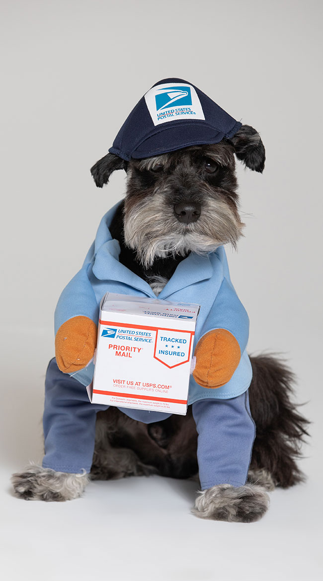 US Mail Carrier Pup Costume, Mailman Dog Costume