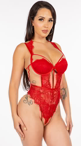 Nearly Nude Lace-Up Teddy, Nude and Black Mesh Teddy - Yandy.com