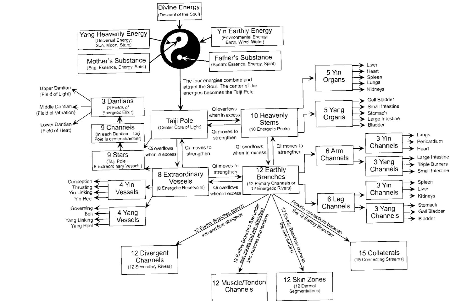 Healthy wealth The Chinese 12 Meridians Chart