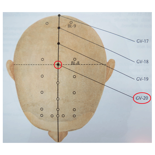 Five Golden Points with AntiAging Effects
