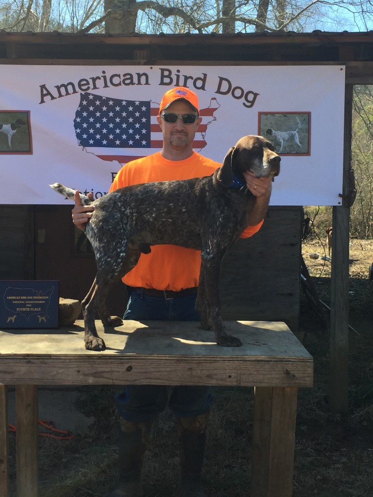 Gallery Yankee Branch Kennel