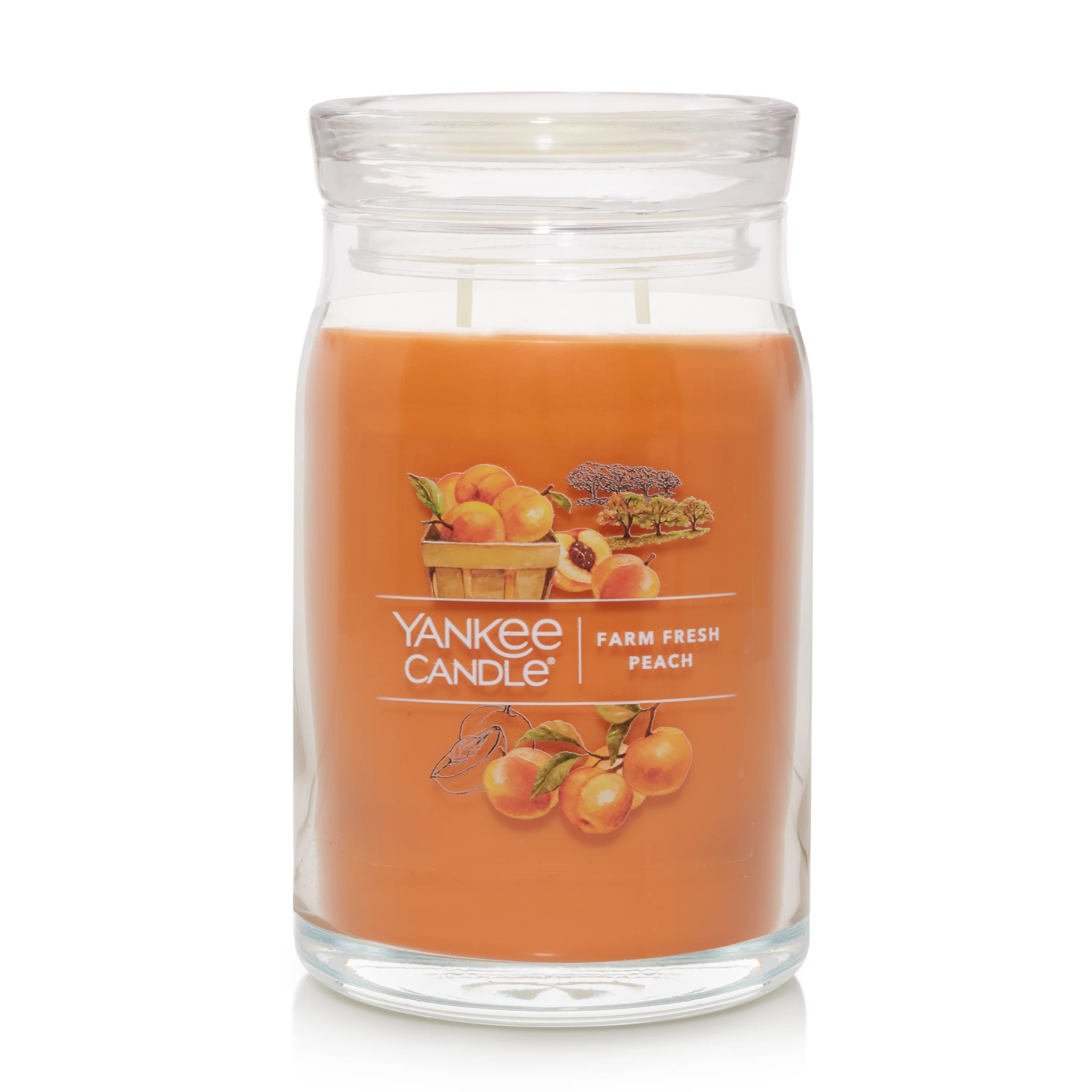 Farm Fresh Peach 20 oz. Signature Large Jar Candle Signature Large