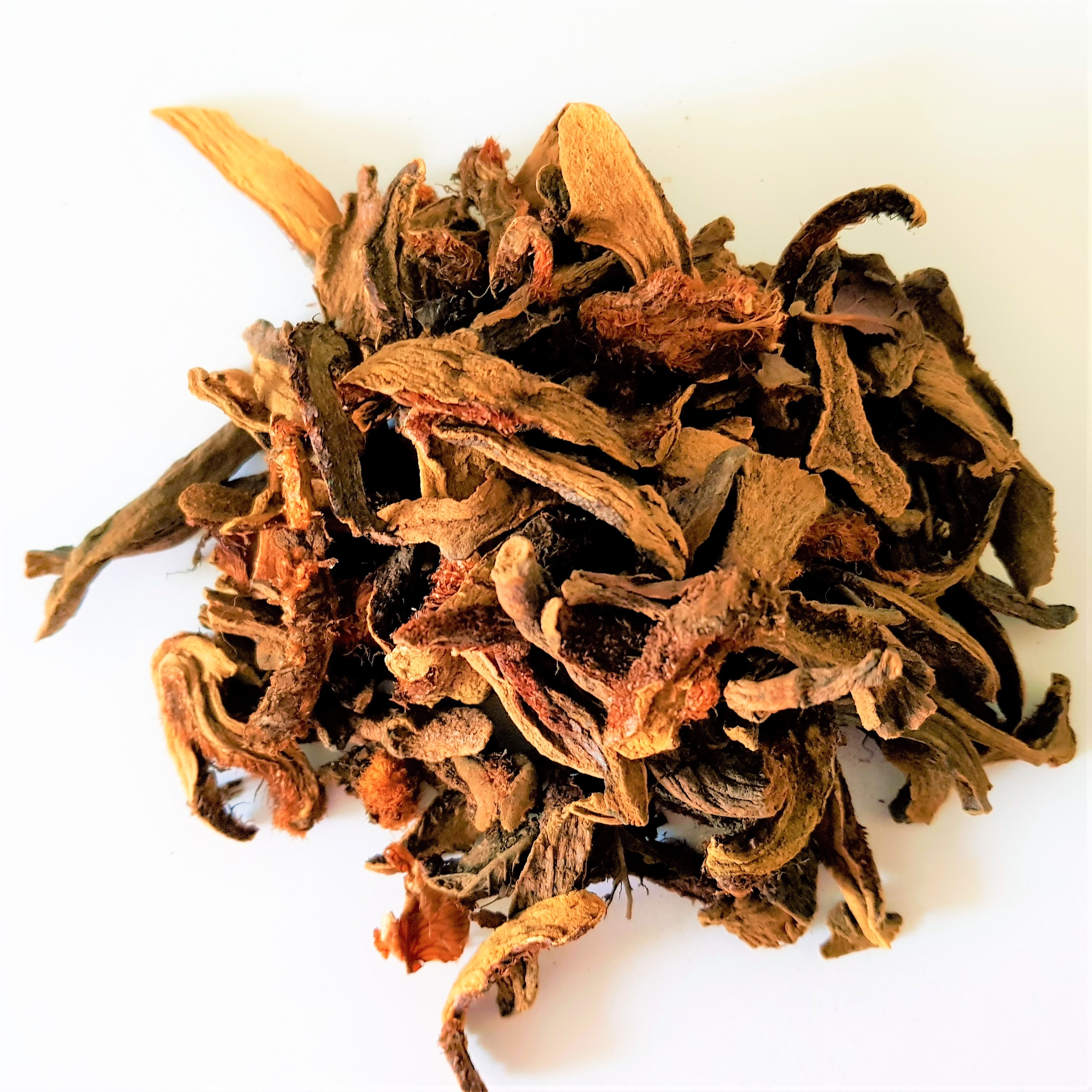 Rhizoma Drynariae Yao Dao