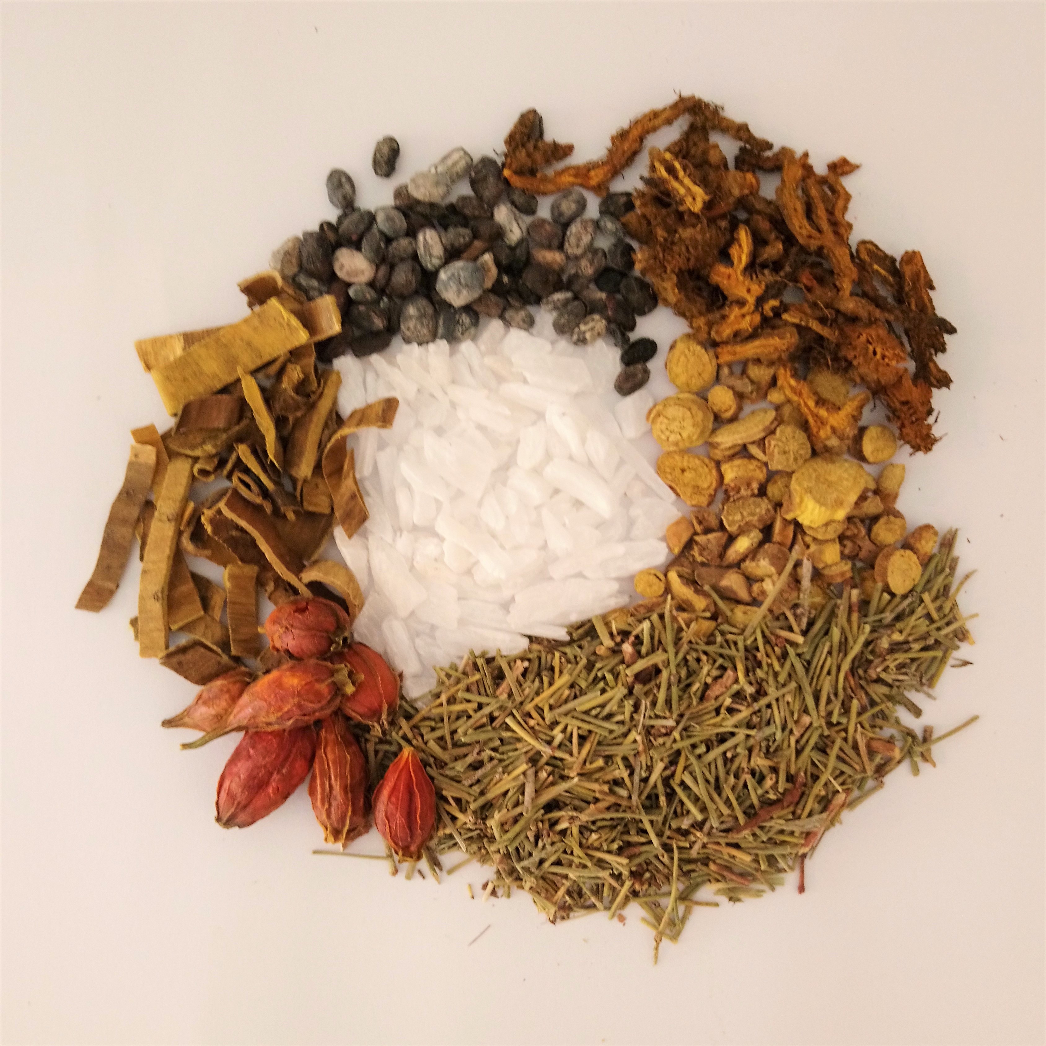 Décoction à base de Shi Gao Yao Dao