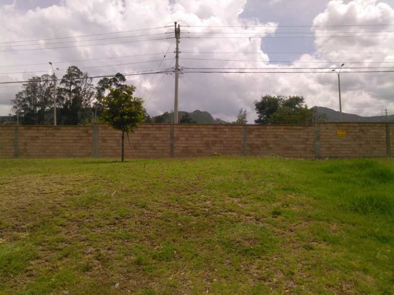 Land for Sale in Cuenca, Ecuador YapaTree