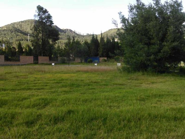 Land for Sale in Cuenca, Ecuador YapaTree