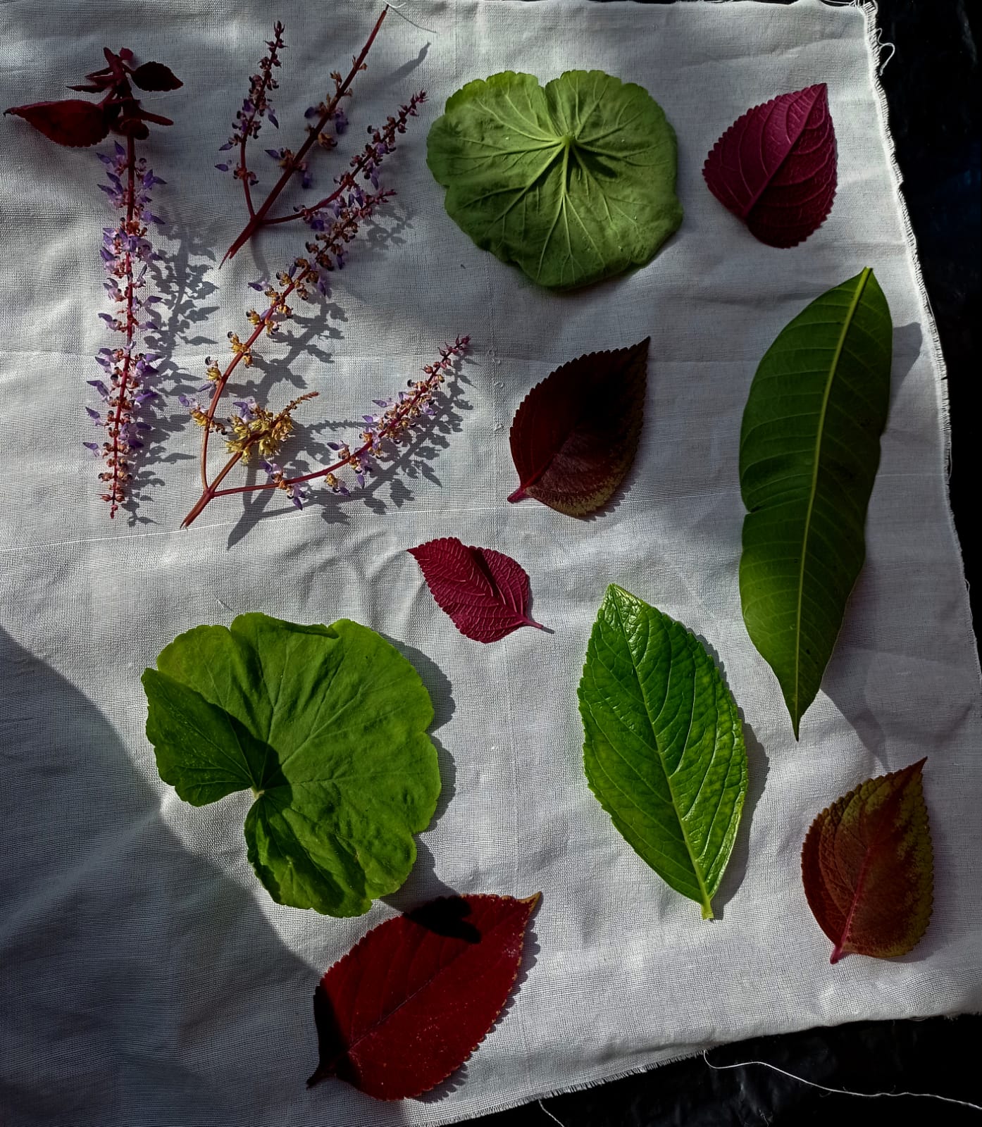 "Ecoprint" Rumah Yapeka