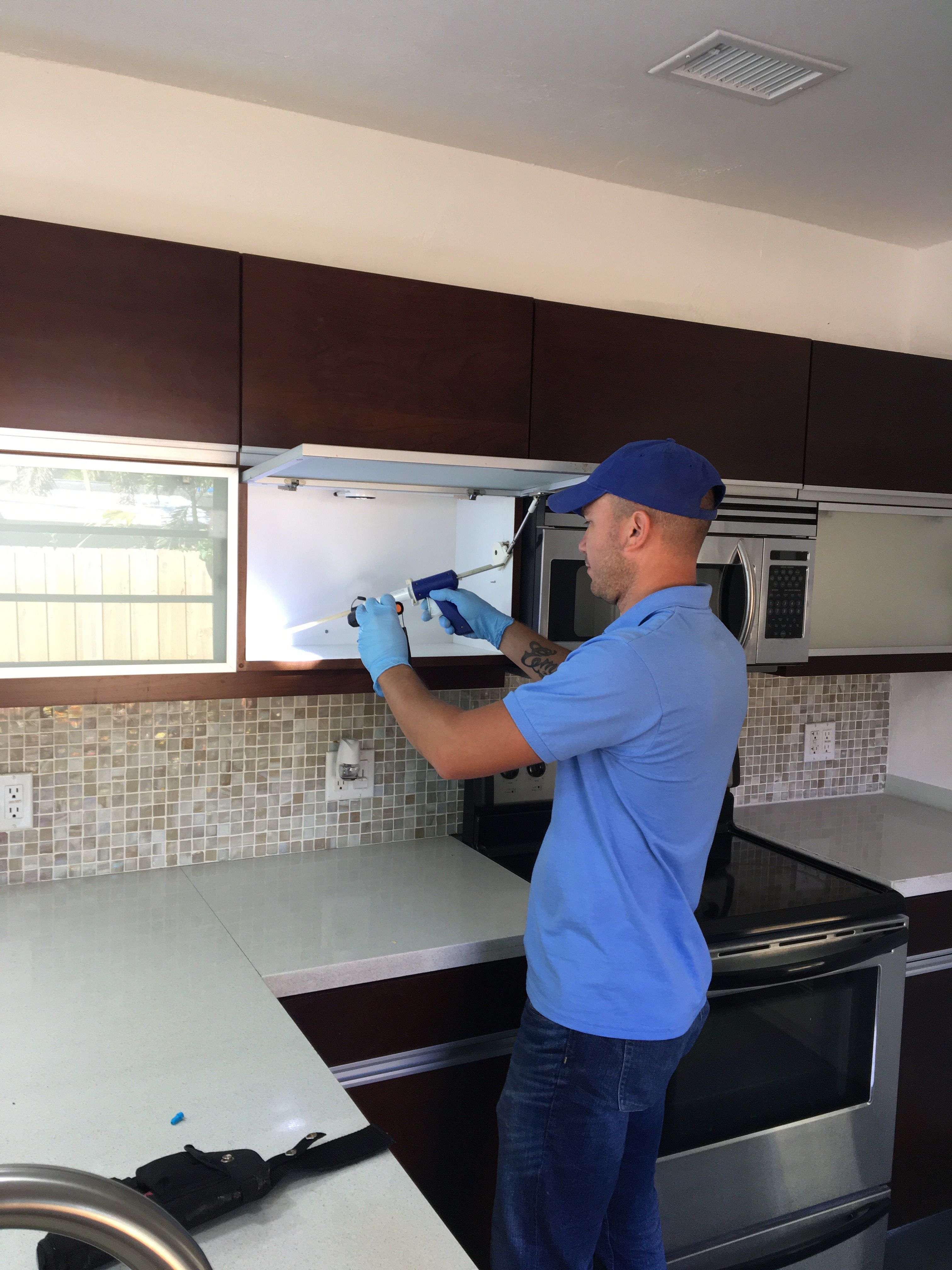 Pest Control Miami Prices at Henry Donoho blog