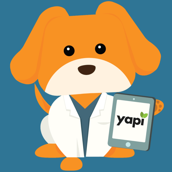 Paperless Dental Software YAPI