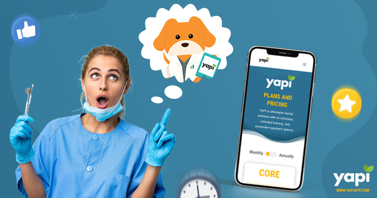 What is YAPI? A Video Explainer in Less Than 5 Minutes YAPI