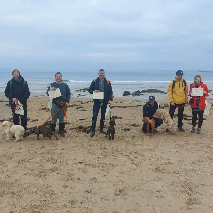 Dog trainer Musselburgh, East Lothian East Coast Dog Training