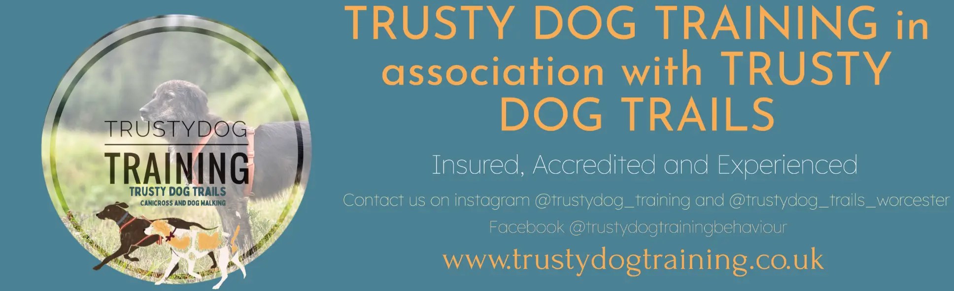 Dog Training Worcester Trusty Dog Training