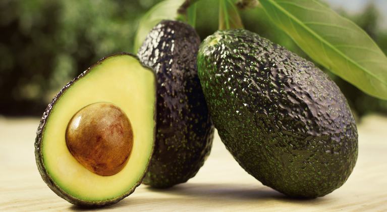 Aguacate Yara Ecuador