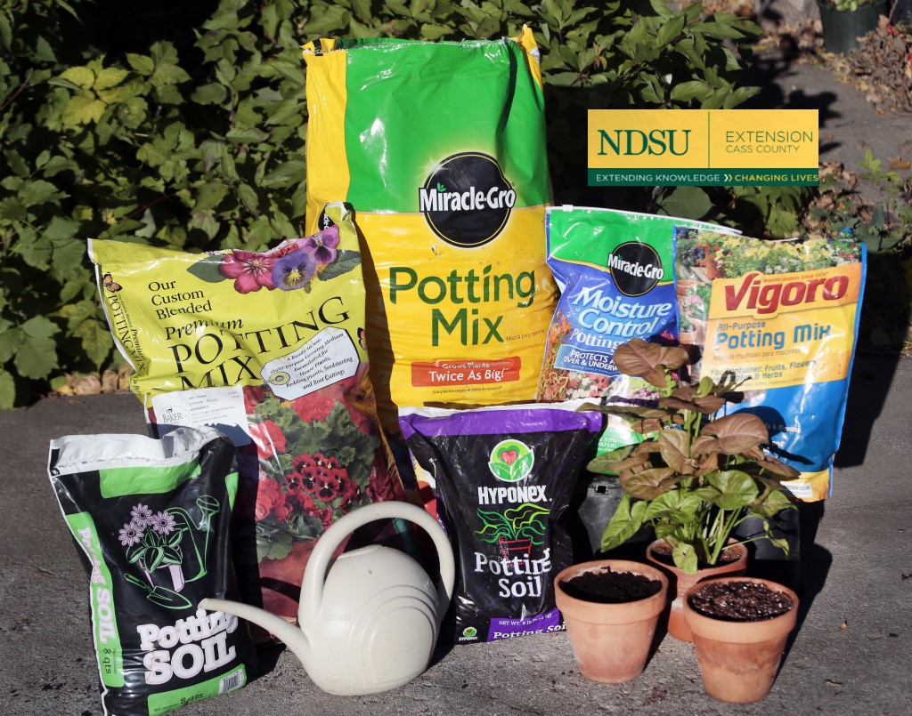 How to Select a Good Potting Mix Everybody's Yard & Garden Guide