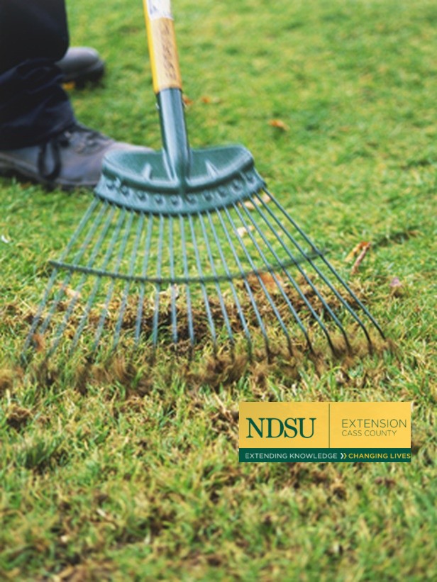 When to Start Spring Lawn Raking Everybody's Yard & Garden Guide