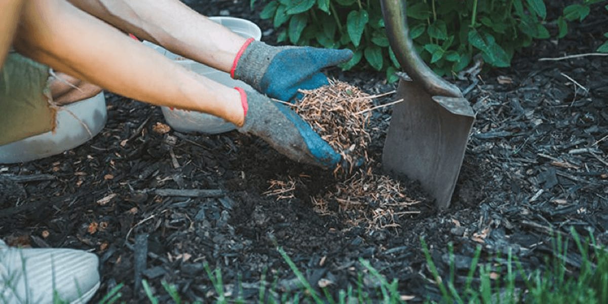 How To Cover Up Mud In Backyard
