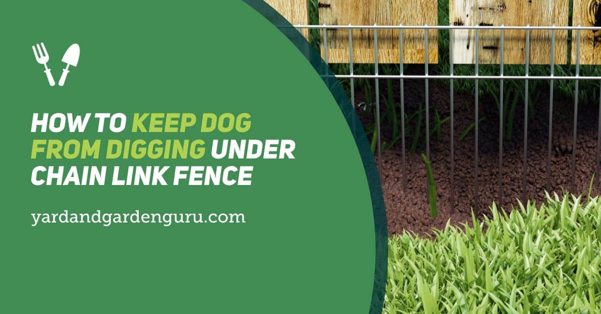 How To Keep Dog From Digging Under Chain Link Fence