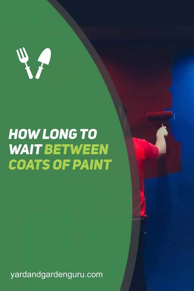 How Long To Wait Between Coats Of Paint