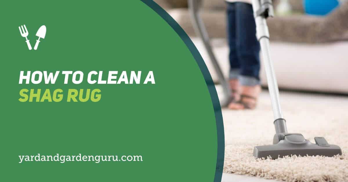 How To Clean A Shag Rug