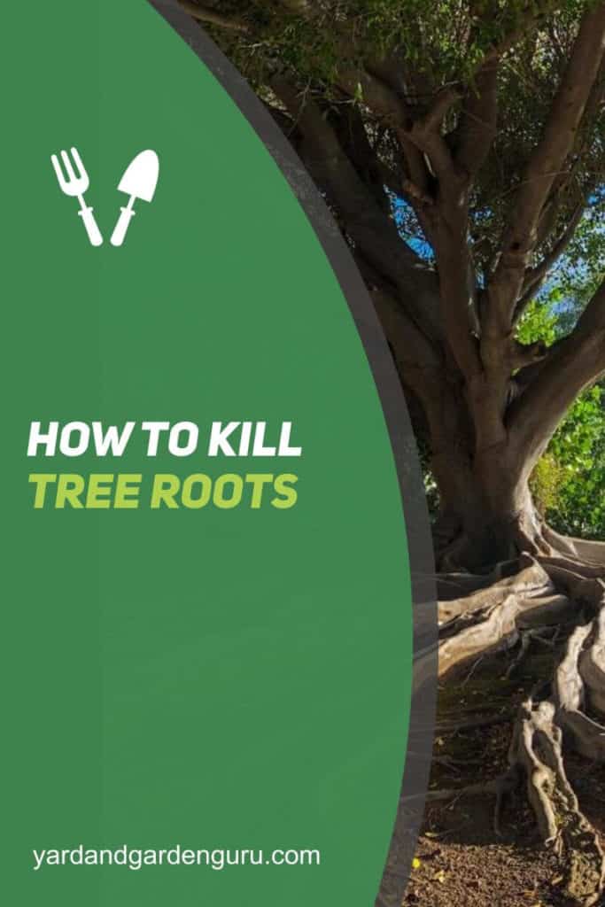 How To Kill Tree Roots