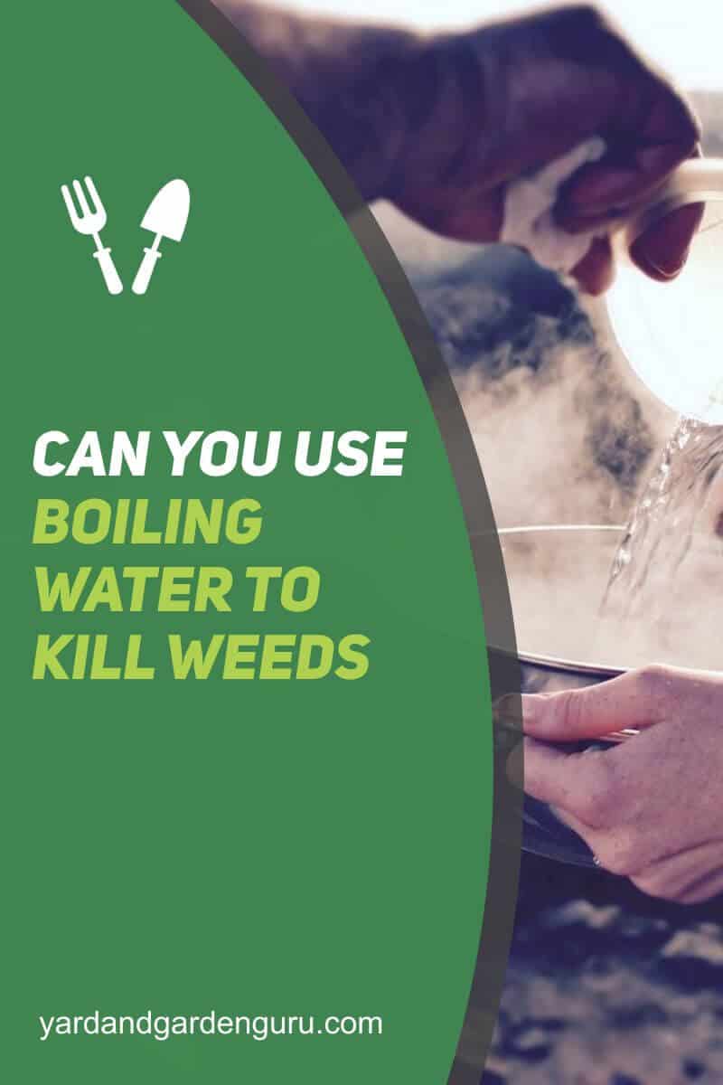 Can You Use Boiling Water To Kill Weeds