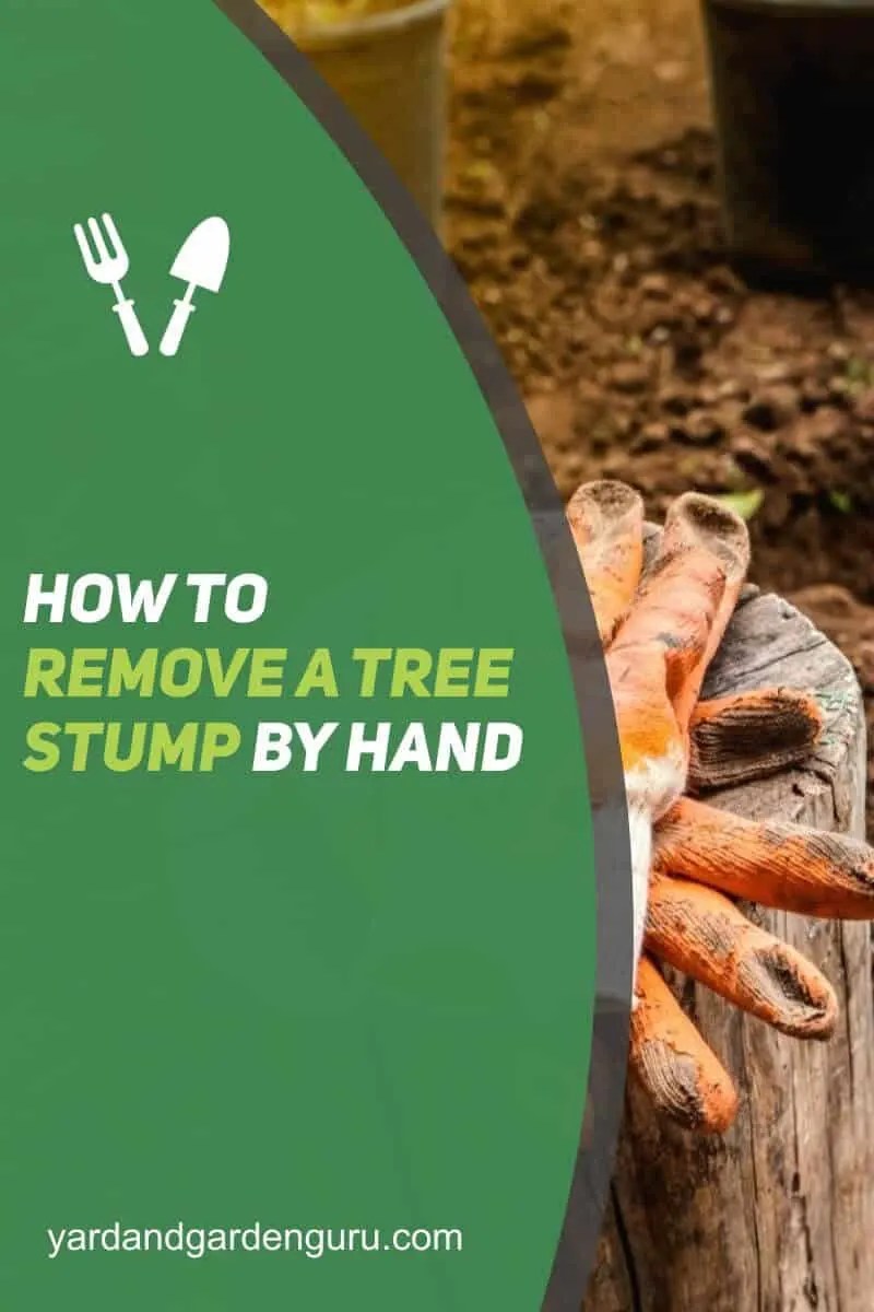 How To Remove A Tree Stump By Hand
