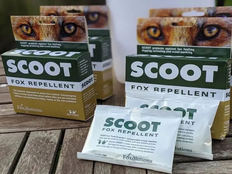 How High Can A Fox Jump