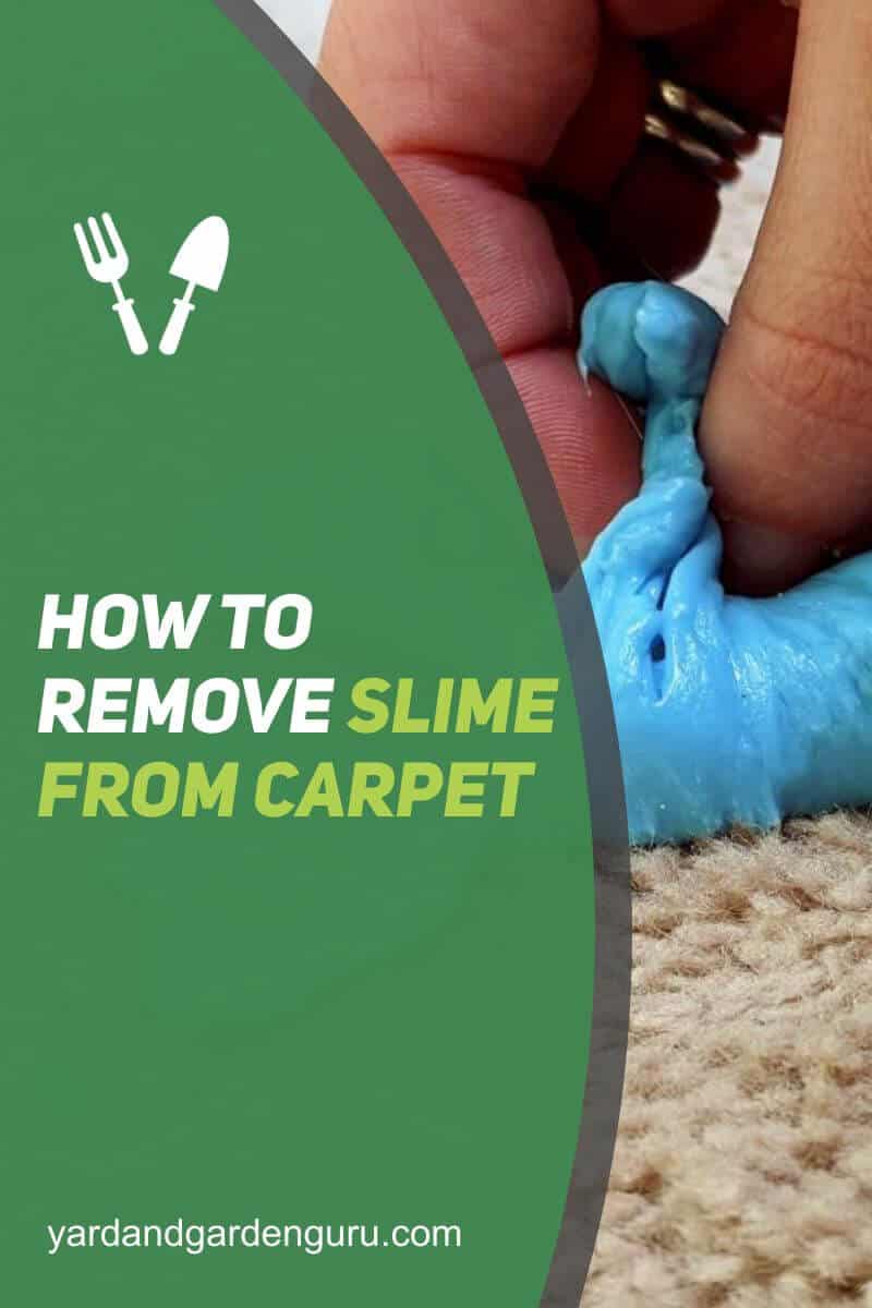 How To Remove Slime From Carpet