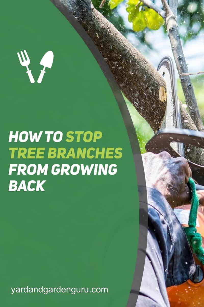 How To Stop Tree Branches From Growing Back