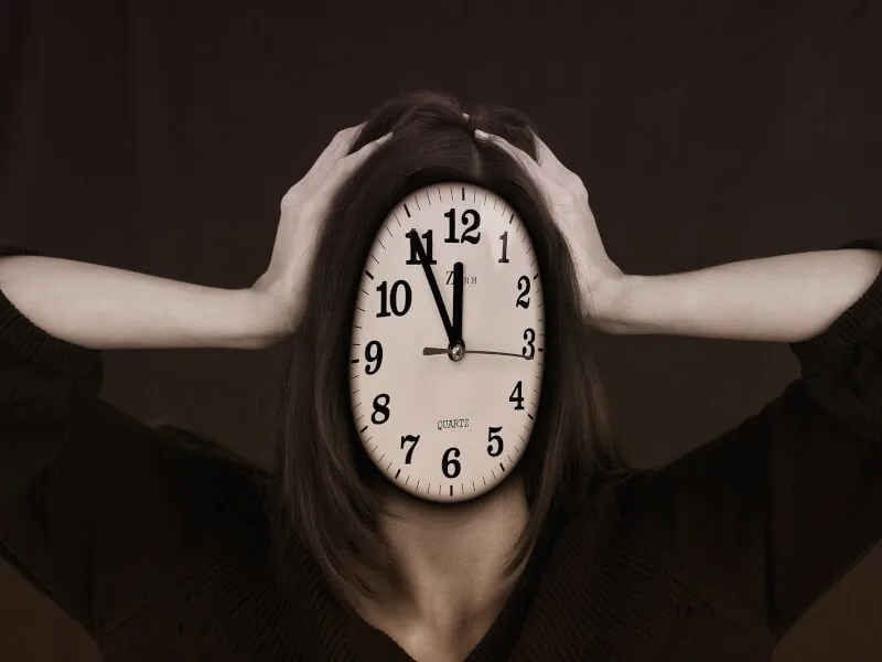 Do Plants Grow At Night