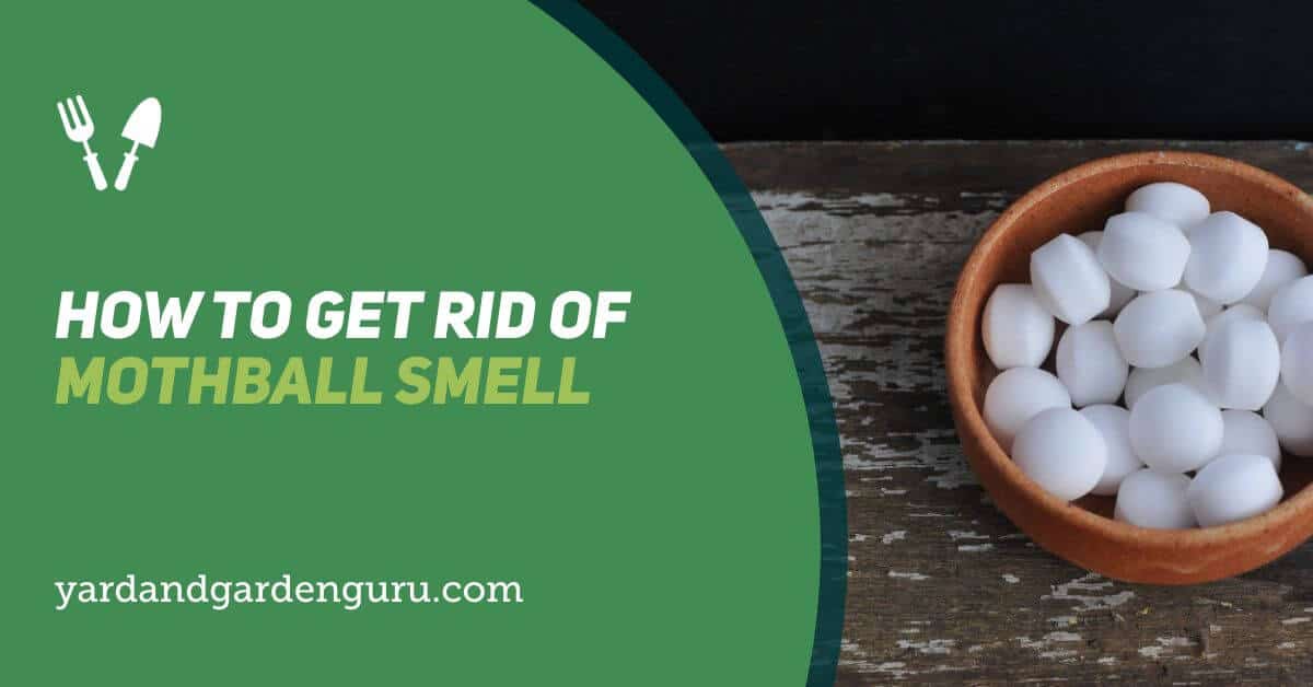 How To Get Mothball Smell Out Of Cedar Chest How To Get Rid Of Mothball Smell
