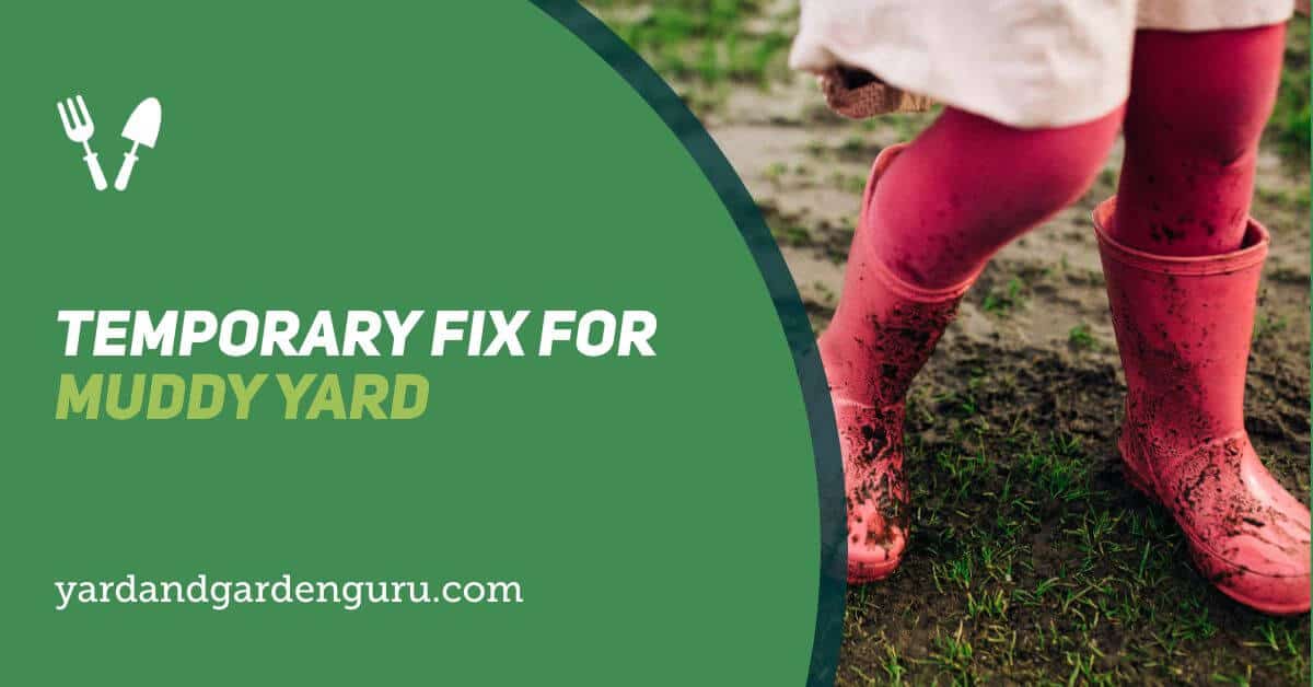 Temporary Fix For Muddy Yard [15 Quick Solutions]