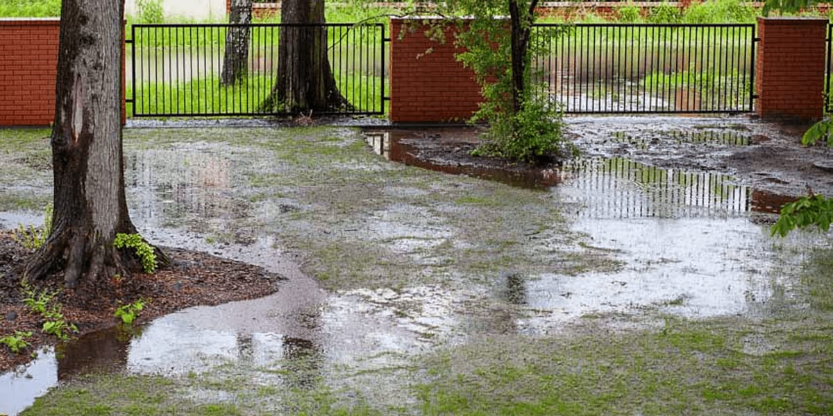 Temporary Fix For Muddy Yard [15 Quick Solutions]