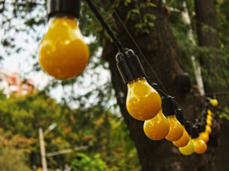 Outdoor Lights That Don't Attract Bugs