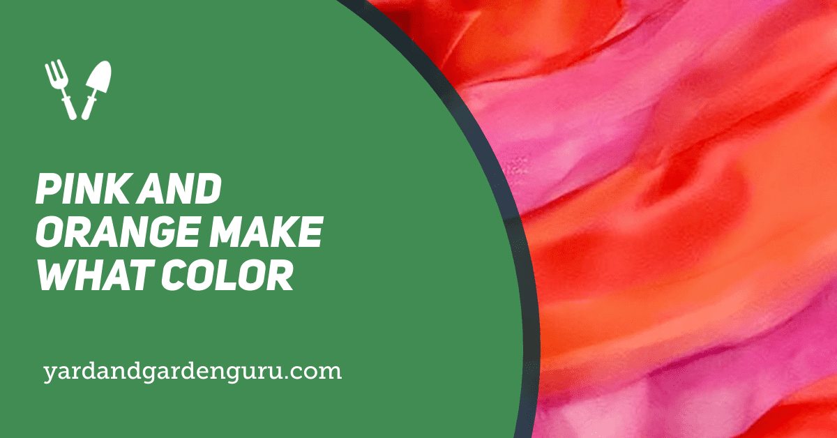 Pink And Orange Make What Color
