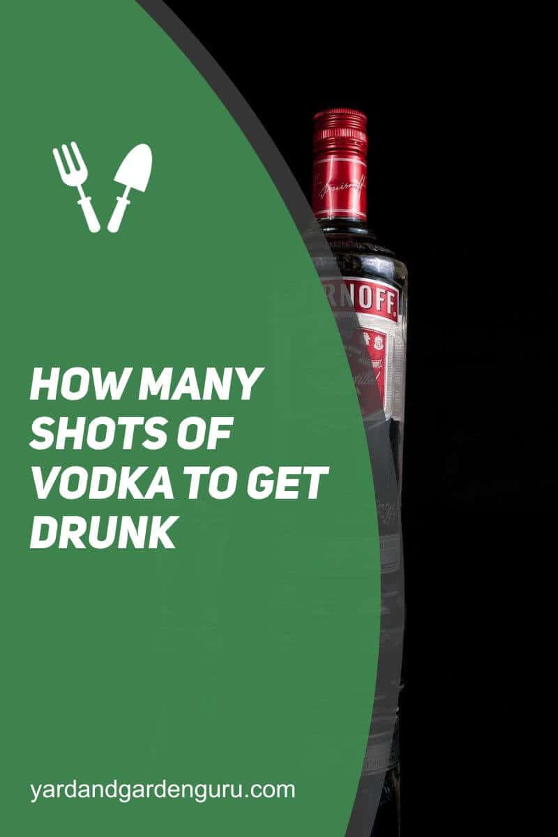 How Many Shots Of Vodka To Get Drunk