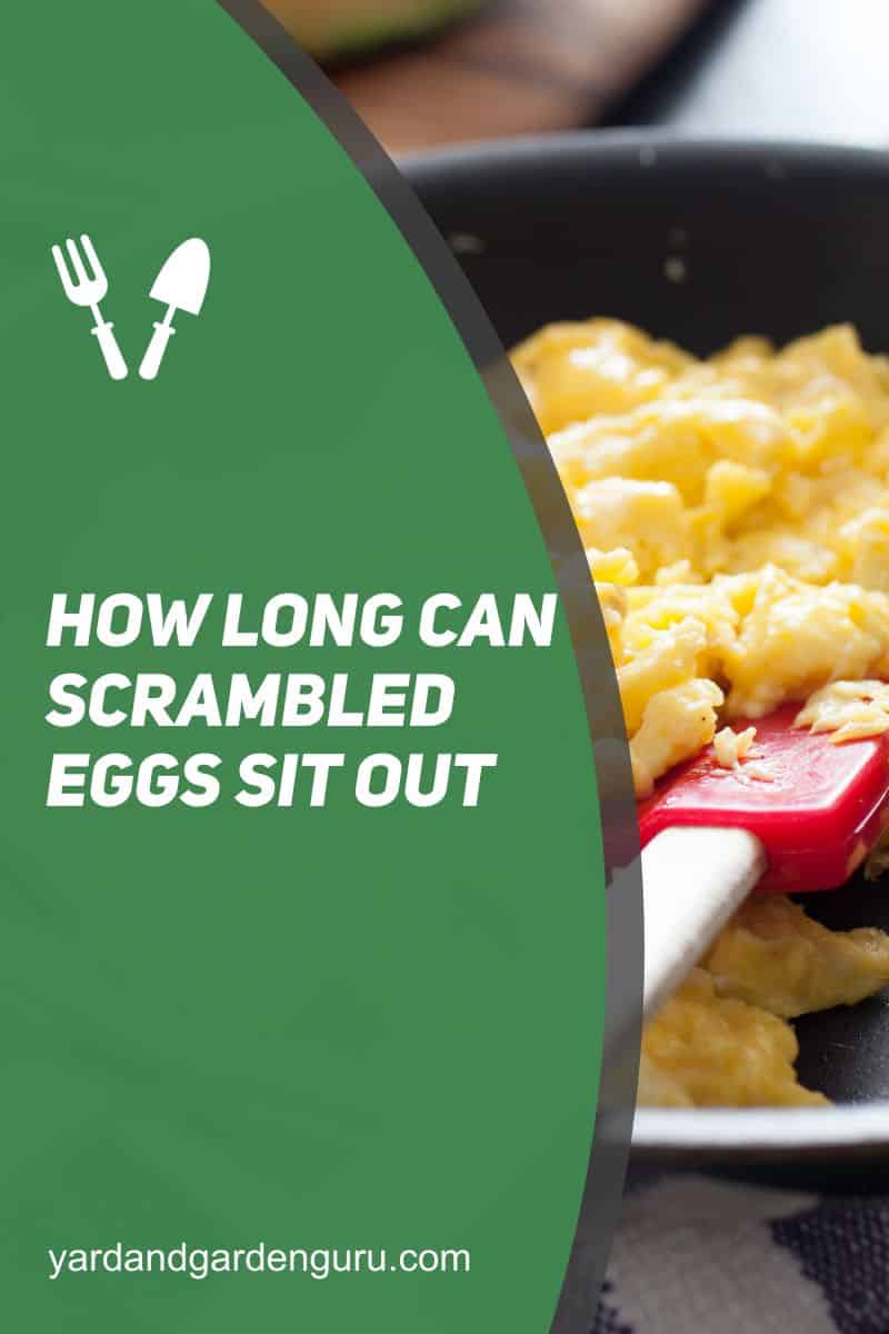 How Long Can Scrambled Eggs Sit Out