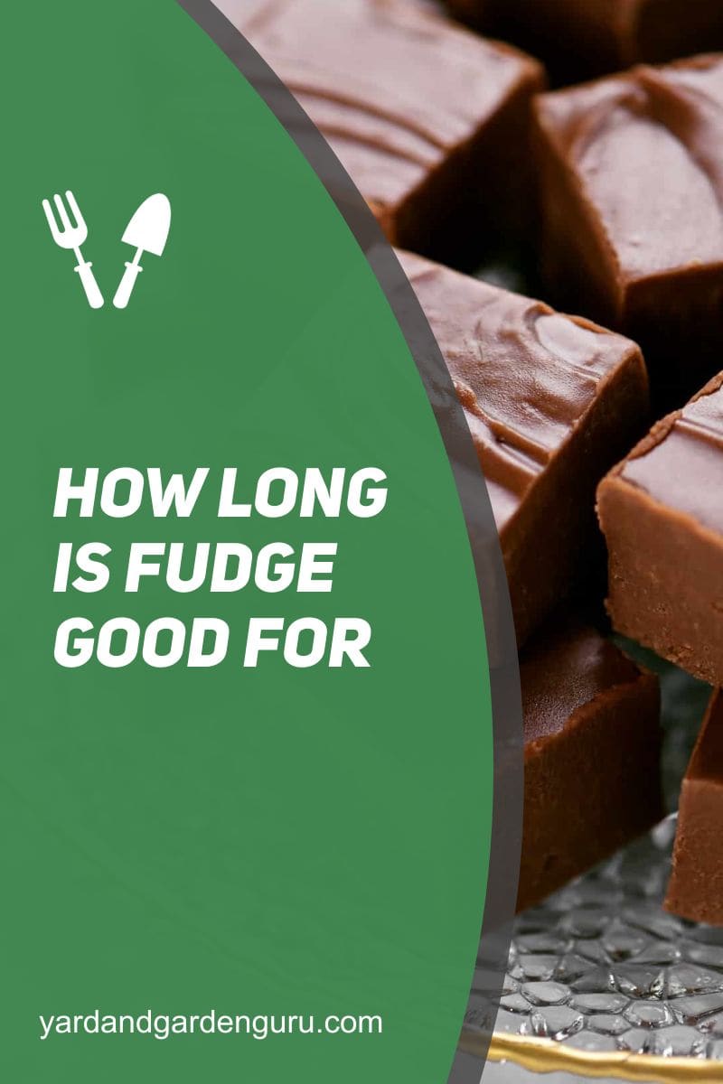 How Long Is Fudge Good For