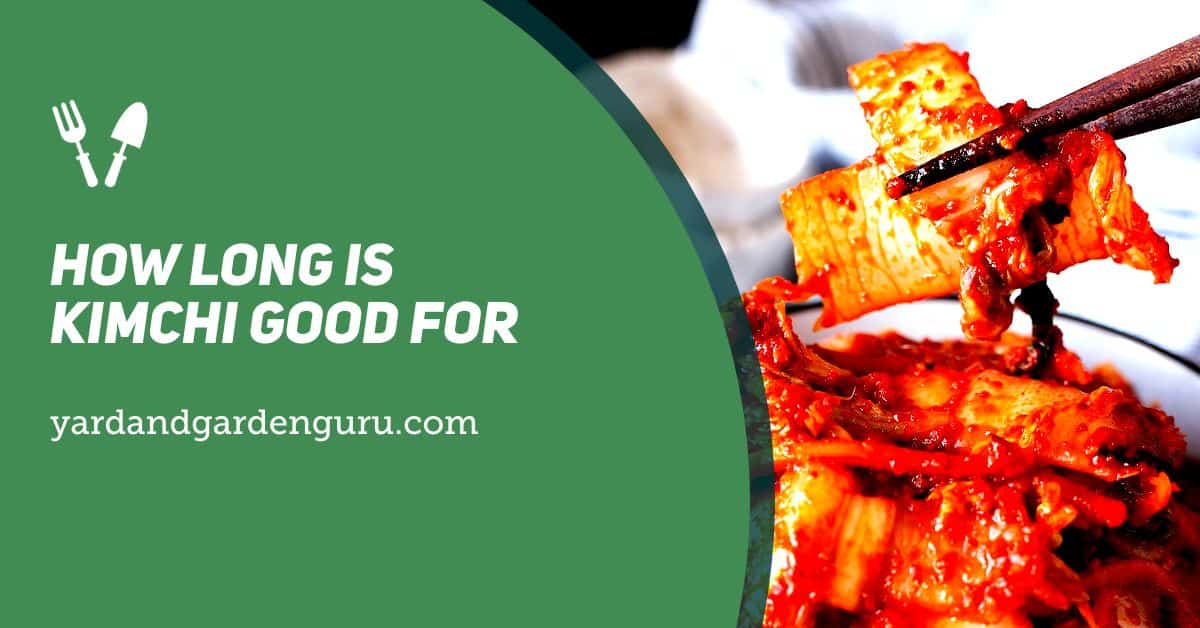 How Long Is Kimchi Good For